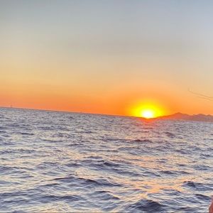 Meet your Posher, Livi